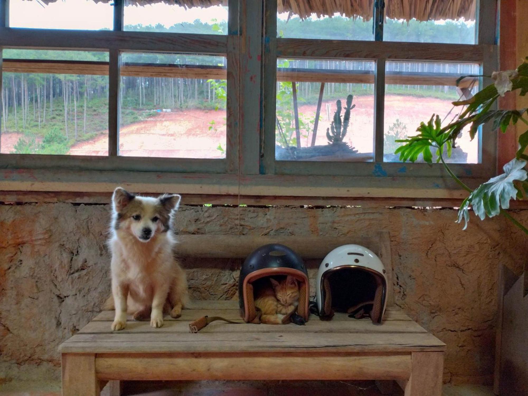 Vuon Nha Cui Homestay Đà Lạt Exterior foto
