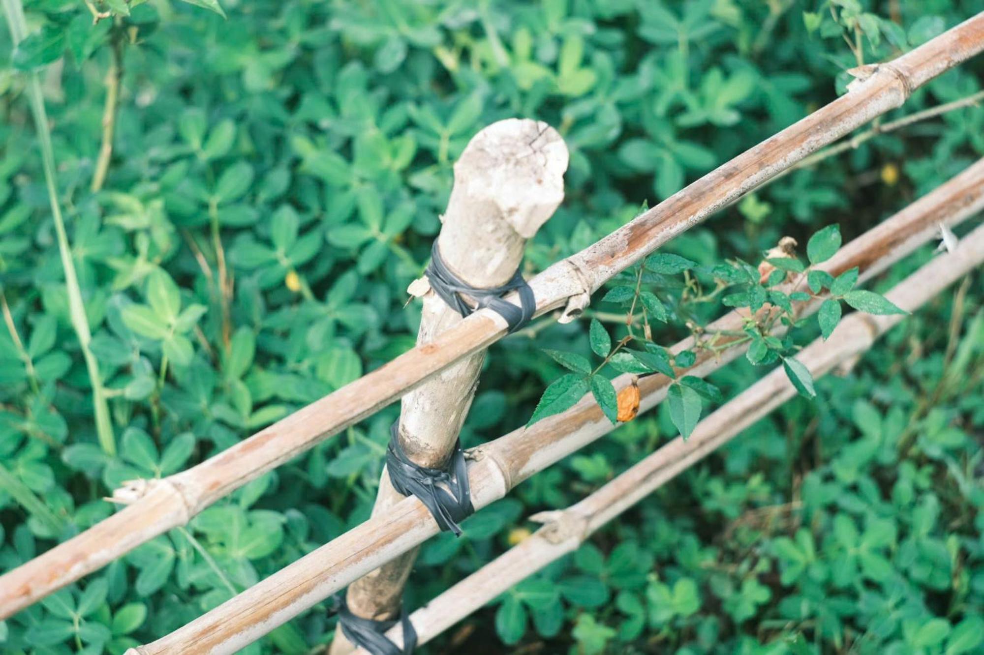 Vuon Nha Cui Homestay Đà Lạt Exterior foto